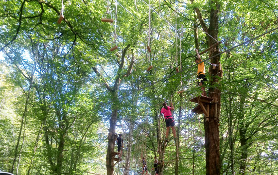 Parcours sanglier